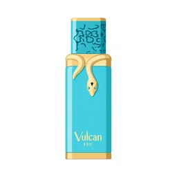 French Avenue Vulcan Feu
