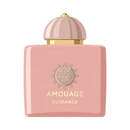 Amouage Guidance